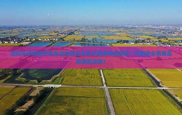 如何从伊犁哈萨克自治州前往北京中国博物馆游玩？有哪些必看展品和游览攻略？