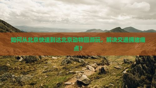 如何从北京快速到达北京动物园游玩，解决交通拥堵痛点？