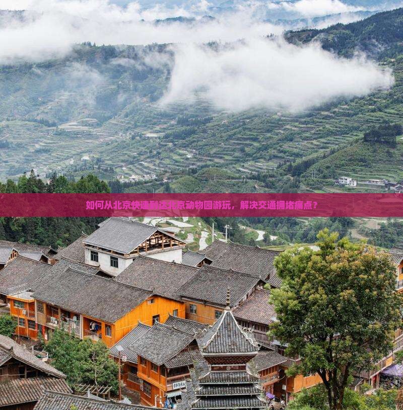 如何从北京快速到达北京动物园游玩，解决交通拥堵痛点？