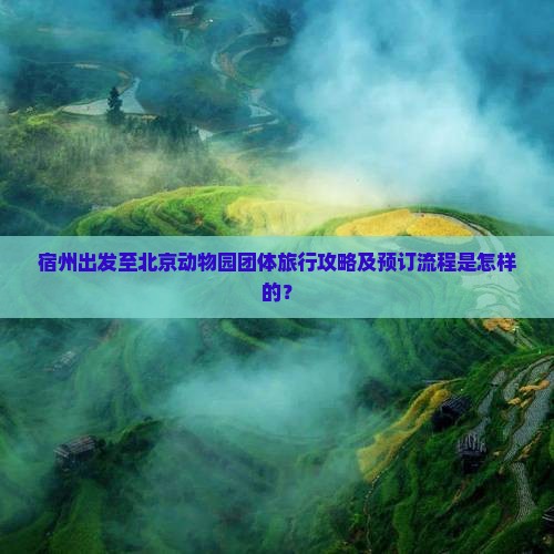 宿州出发至北京动物园团体旅行攻略及预订流程是怎样的？