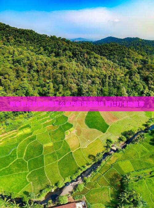 新余到北京动物园怎么卓内附详细路线+网红打卡地推荐