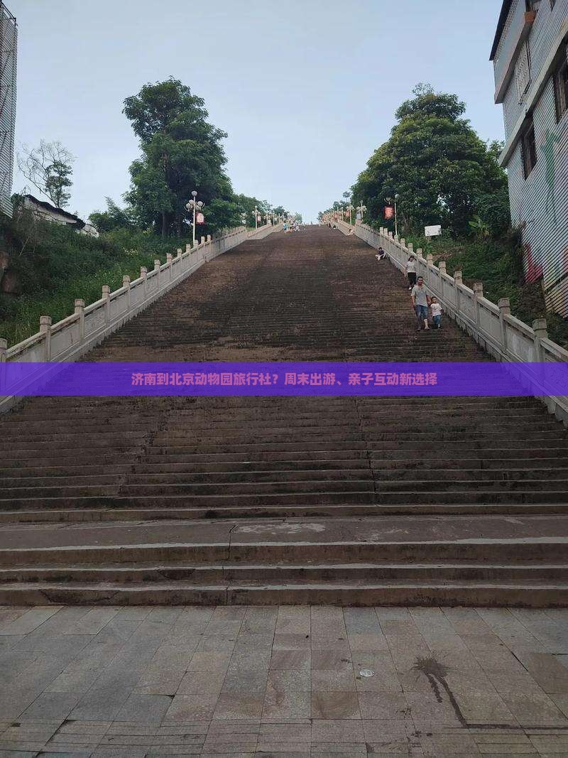 济南到北京动物园旅行社？周末出游、亲子互动新选择