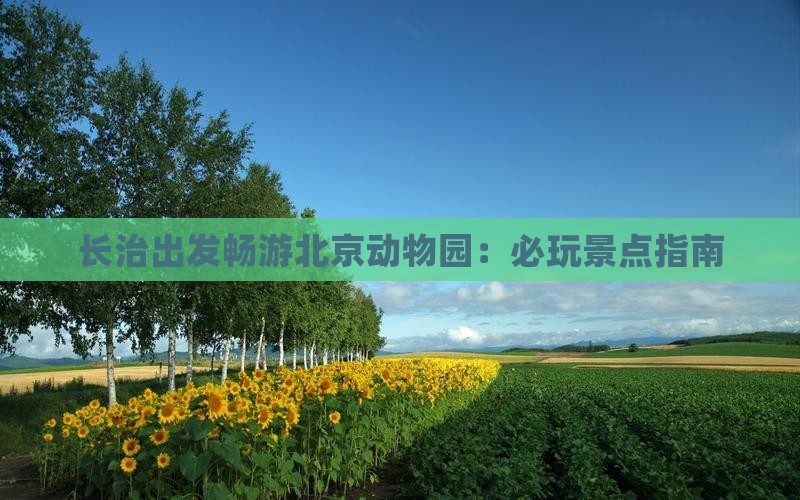 长治出发畅游北京动物园：必玩景点指南