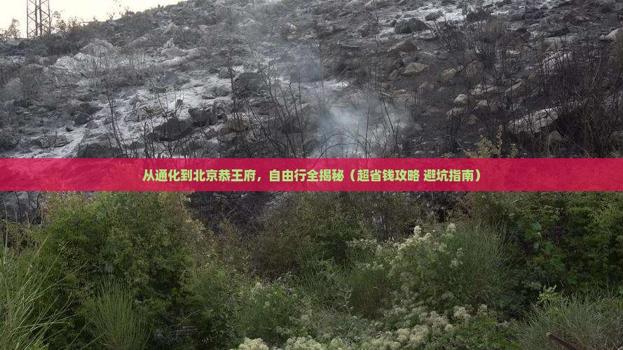 通化到北京恭王府自由团
