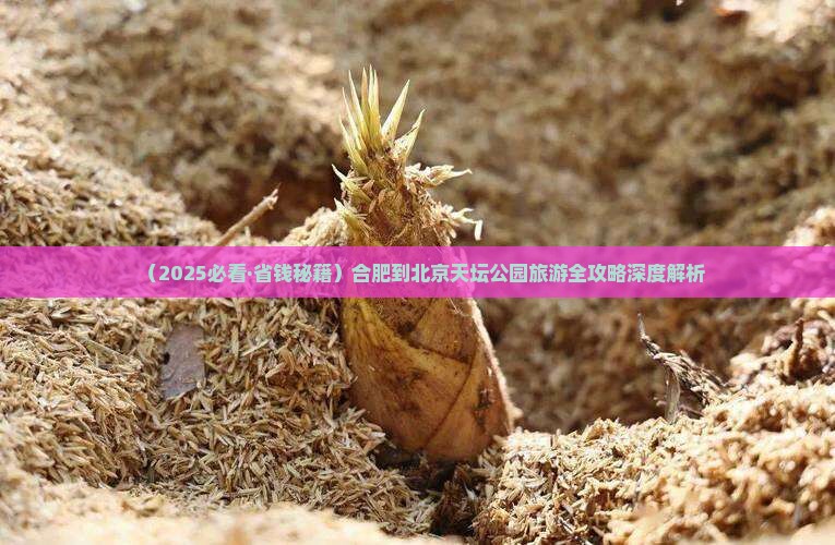 合肥去北京天坛公园自由行