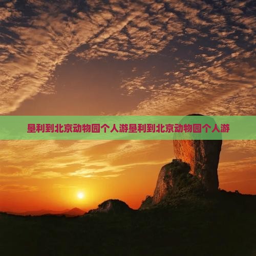 垦利到北京动物园个人游
