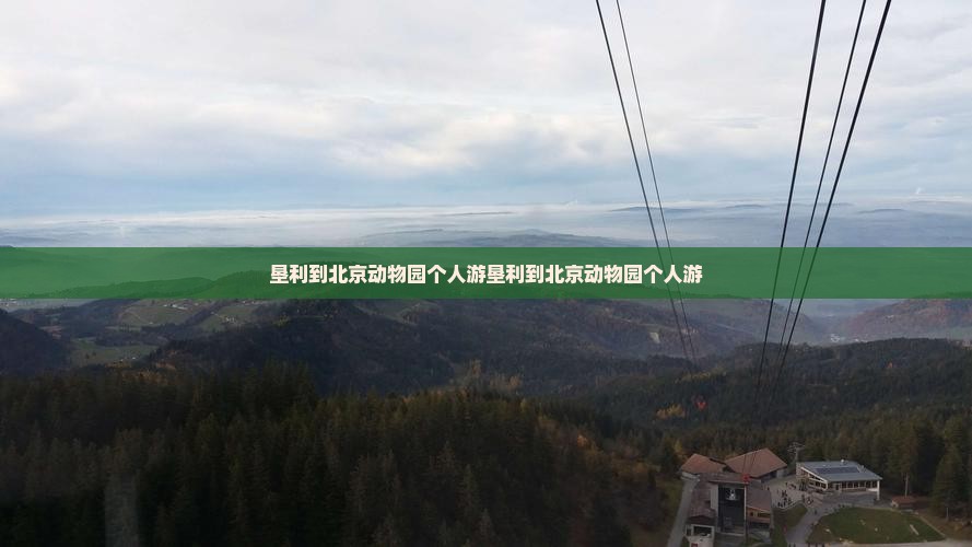 垦利到北京动物园个人游