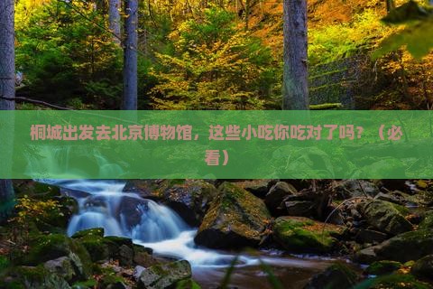 桐城去北京中国国家博物馆旅游小吃