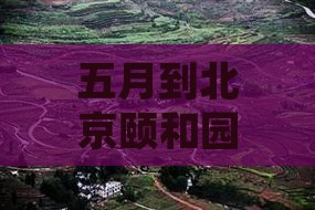 五月到北京颐和园旅游