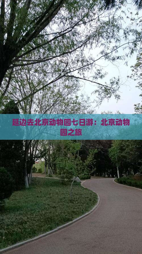 延边去北京动物园七日游