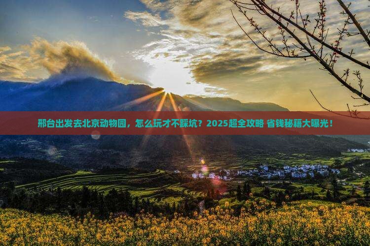 邢台到北京动物园攻略