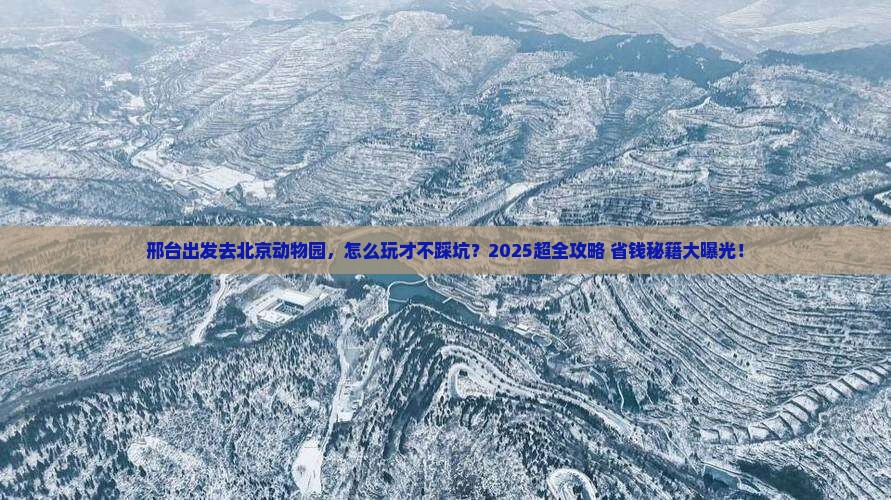 邢台到北京动物园攻略