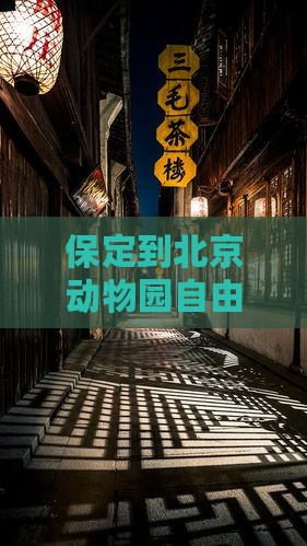 保定到北京动物园自由行