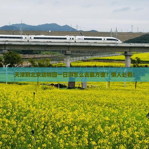天津到北京动物园一日游