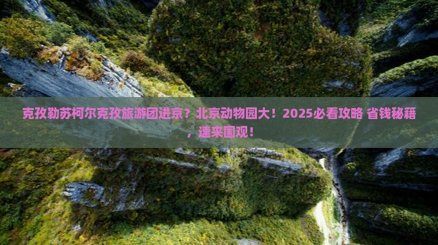 克孜勒苏柯尔克孜到北京动物园大型旅游团
