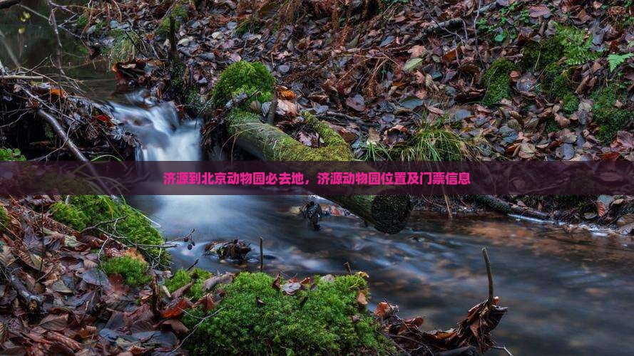 济源到北京动物园必去地