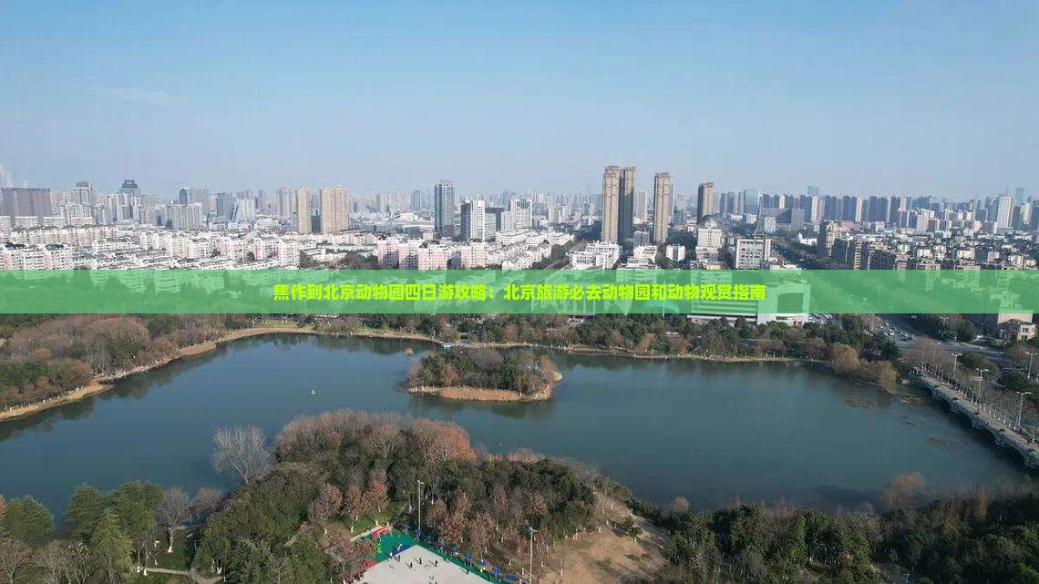 焦作到北京动物园四日游
