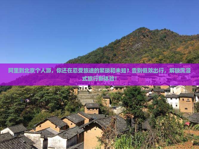 阿里到北京个人游