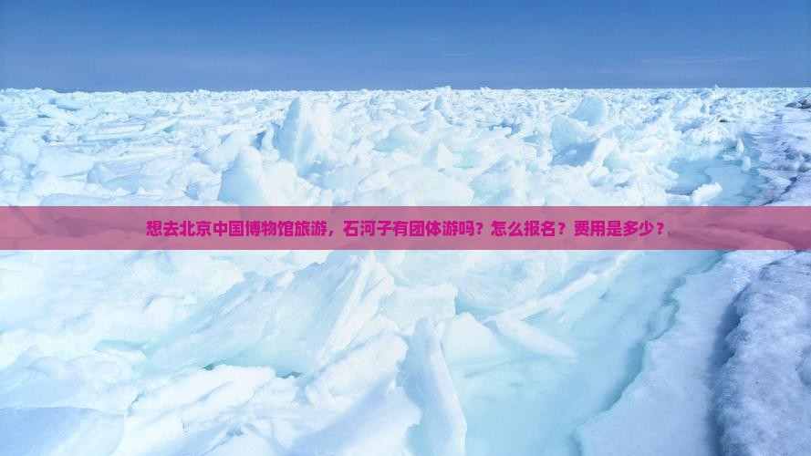 想去北京中国博物馆旅游，石河子有团体游吗？怎么报名？费用是多少？