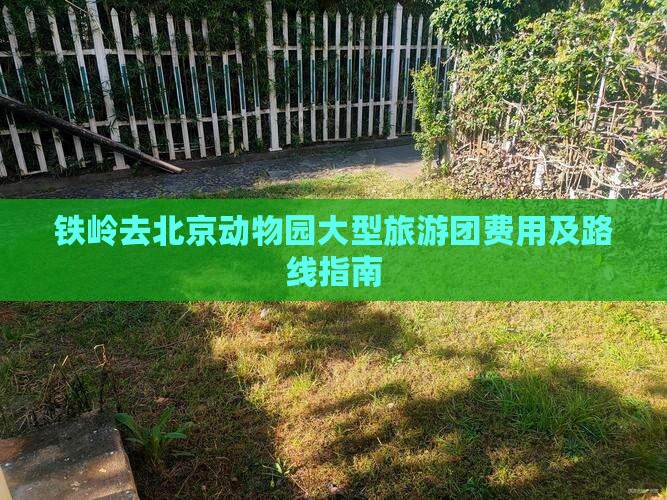 铁岭去北京动物园大型旅游团费用及路线指南
