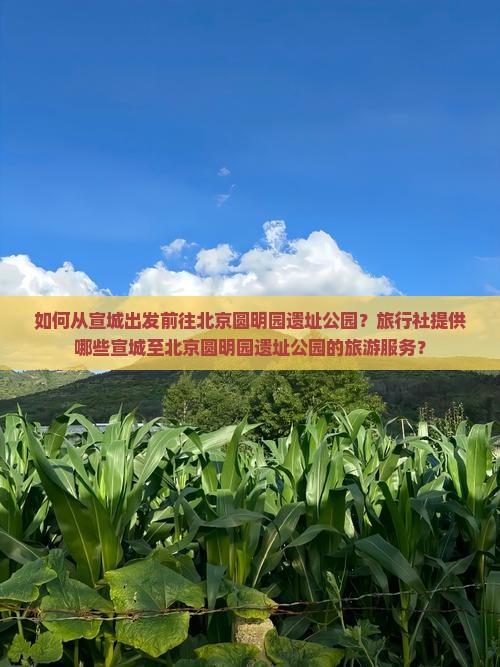 如何从宣城出发前往北京圆明园遗址公园？旅行社提供哪些宣城至北京圆明园遗址公园的旅游服务？