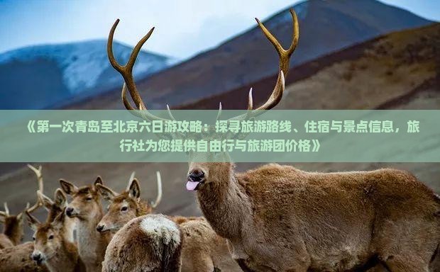 《第一次青岛至北京六日游攻略：探寻旅游路线、住宿与景点信息，旅行社为您提供自由行与旅游团价格》