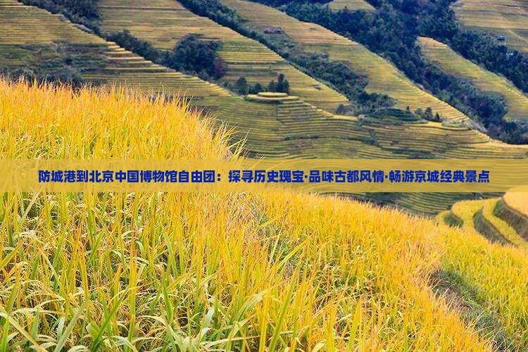防城港到北京中国博物馆自由团：探寻历史瑰宝·品味古都风情·畅游京城经典景点