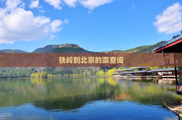 铁岭到北京的票查询