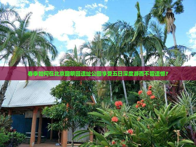 春季如何在北京圆明园遗址公园享受五日深度游而不留遗憾？