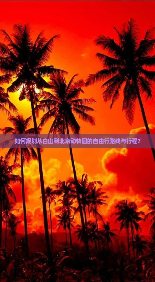 如何规划从白山到北京动物园的自由行路线与行程？