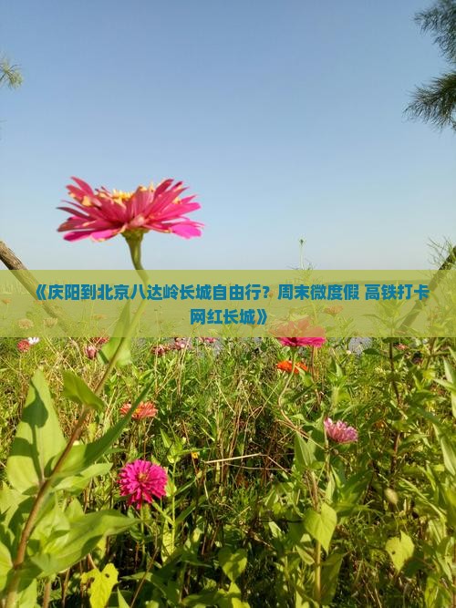 《庆阳到北京八达岭长城自由行？周末微度假+高铁打卡网红长城》