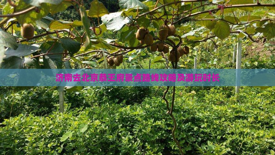 济南去北京恭王府景点路线攻略及游玩时长