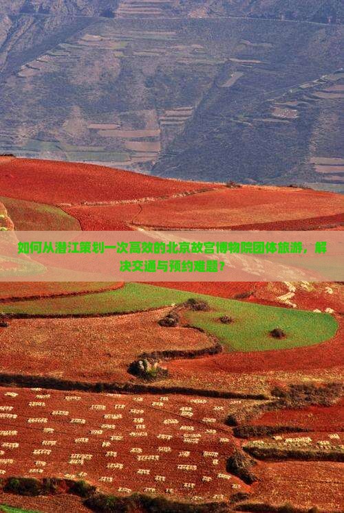 如何从潜江策划一次高效的北京故宫博物院团体旅游，解决交通与预约难题？