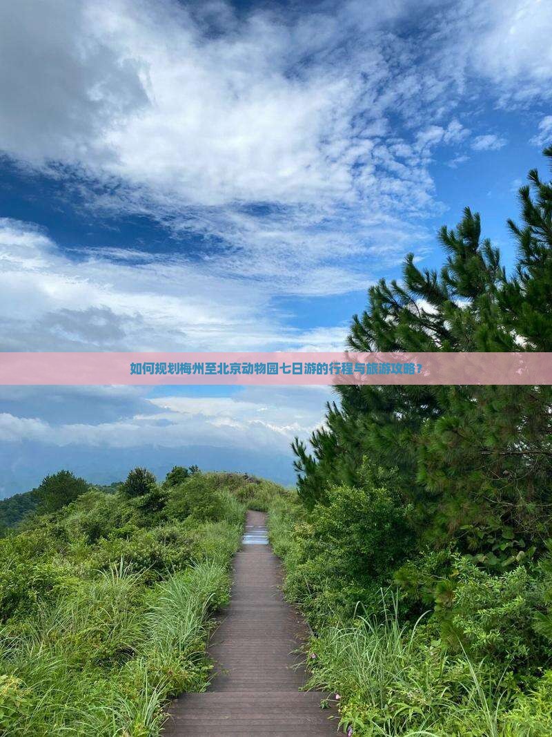 如何规划梅州至北京动物园七日游的行程与旅游攻略？