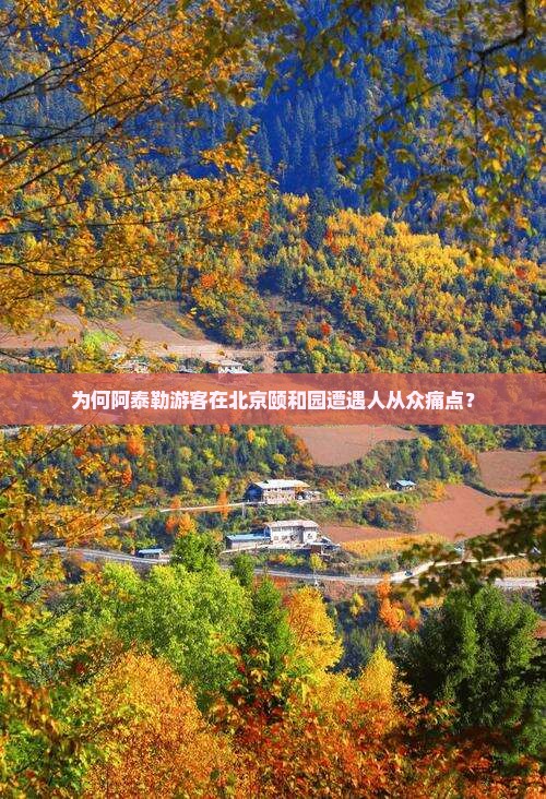 为何阿泰勒游客在北京颐和园遭遇人从众痛点？
