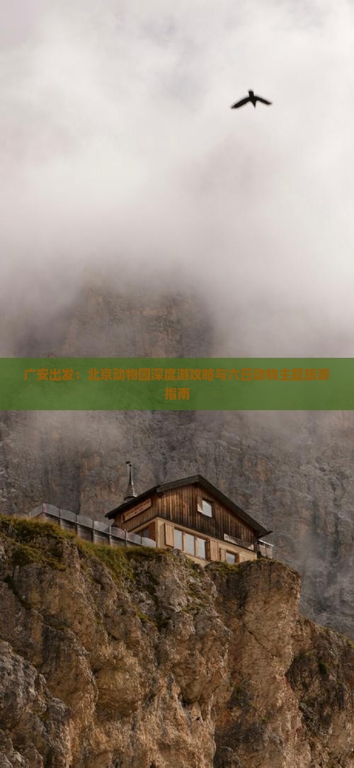 广安出发：北京动物园深度游攻略与六日动物主题旅游指南