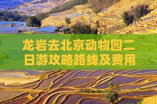 龙岩去北京动物园二日游攻略路线及费用