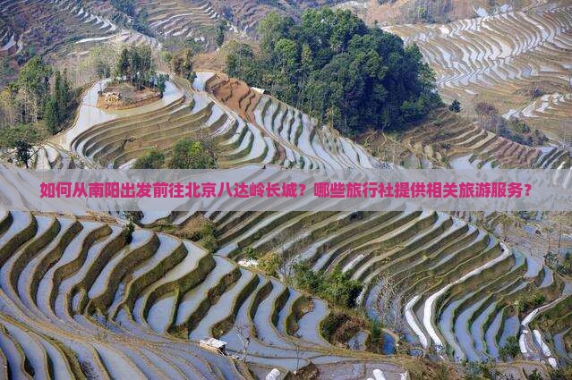 如何从南阳出发前往北京八达岭长城？哪些旅行社提供相关旅游服务？