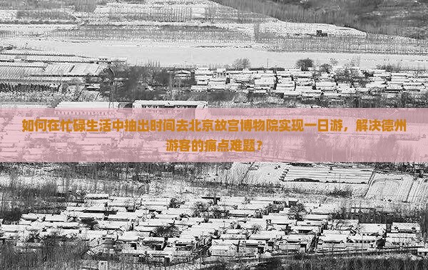 如何在忙碌生活中抽出时间去北京故宫博物院实现一日游，解决德州游客的痛点难题？
