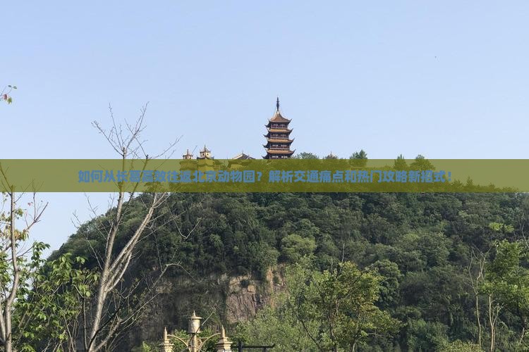 如何从长葛高效往返北京动物园？解析交通痛点和热门攻略新招式！
