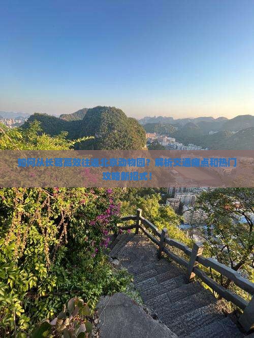 如何从长葛高效往返北京动物园？解析交通痛点和热门攻略新招式！