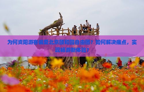 为何资阳游客偏爱北京颐和园自由团？如何解决痛点，实现畅游新体验？