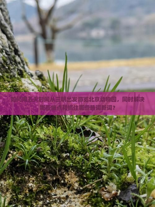 如何用五天时间从三明出发游览北京动物园，同时解决哪些痛点和抓住哪些热词新词？