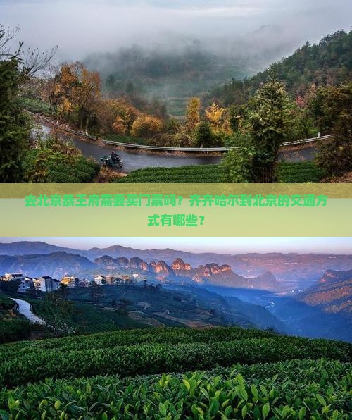 去北京恭王府需要买门票吗？齐齐哈尔到北京的交通方式有哪些？