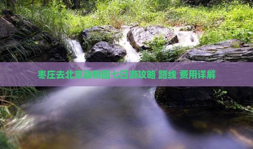 枣庄去北京动物园七日游攻略+路线+费用详解
