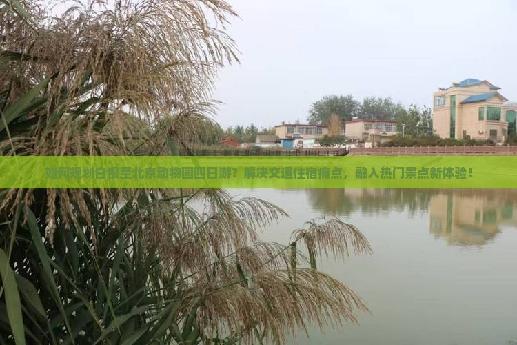 如何规划白银至北京动物园四日游？解决交通住宿痛点，融入热门景点新体验！