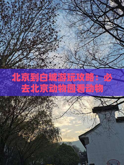 北京到白城游玩攻略：必去北京动物园看动物