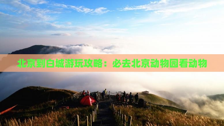 北京到白城游玩攻略：必去北京动物园看动物