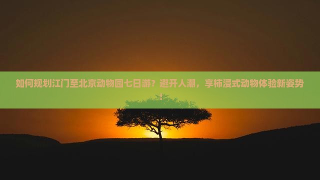 如何规划江门至北京动物园七日游？避开人潮，享柿浸式动物体验新姿势！