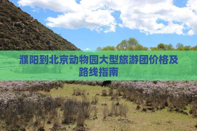 濮阳到北京动物园大型旅游团价格及路线指南
